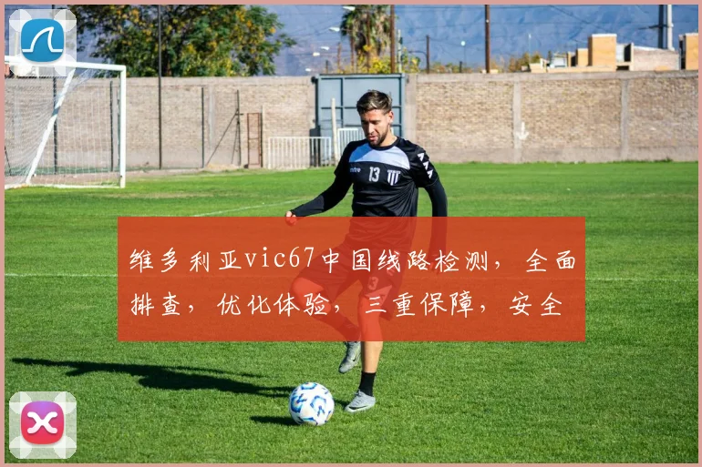 维多利亚vic67中国线路检测，全面排查，优化体验，三重保障，安全无忧，速来体验