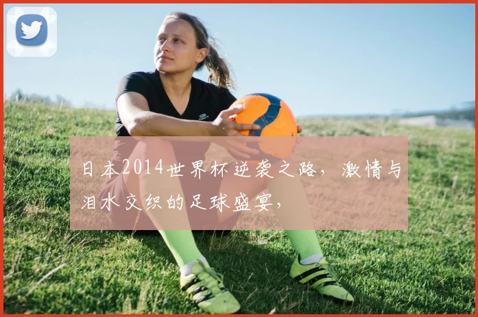 日本2014世界杯逆袭之路，激情与泪水交织的足球盛宴，