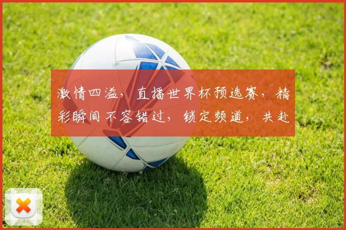 激情四溢，直播世界杯预选赛，精彩瞬间不容错过，锁定频道，共赴盛宴